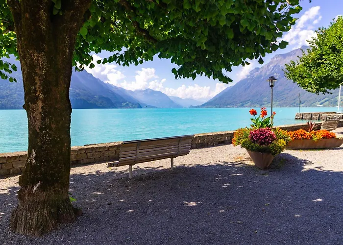 Staybrienz - Lejlighed *